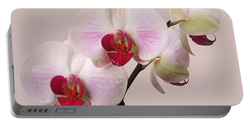 Orchid Portable Battery Charger featuring the photograph White Orchid by Juergen Roth