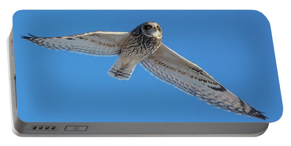 Owl Portable Battery Charger featuring the photograph White Owl Flying by William Jobes