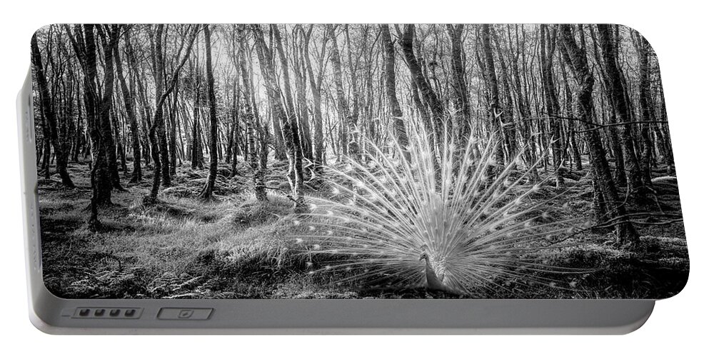Peacock Portable Battery Charger featuring the photograph White Peacock in the Beauty of the Forest in Black and White by Debra and Dave Vanderlaan