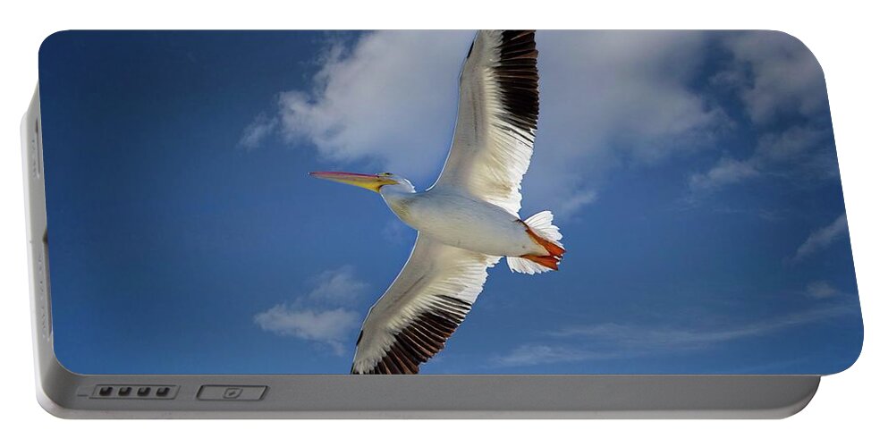 American White Pelican Portable Battery Charger featuring the photograph White Pelican Soaring by Ronald Lutz