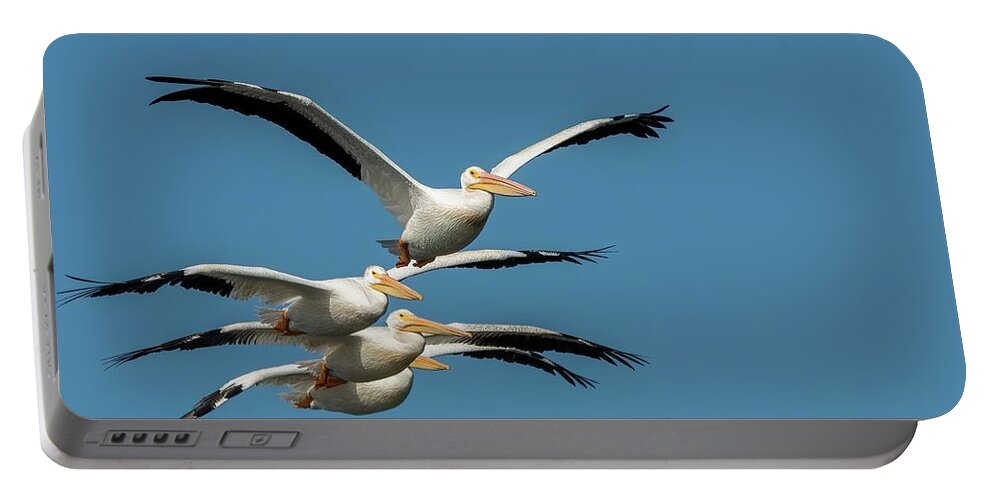 Pelicans Portable Battery Charger featuring the photograph White Pelicans in Flight by Linda Shannon Morgan