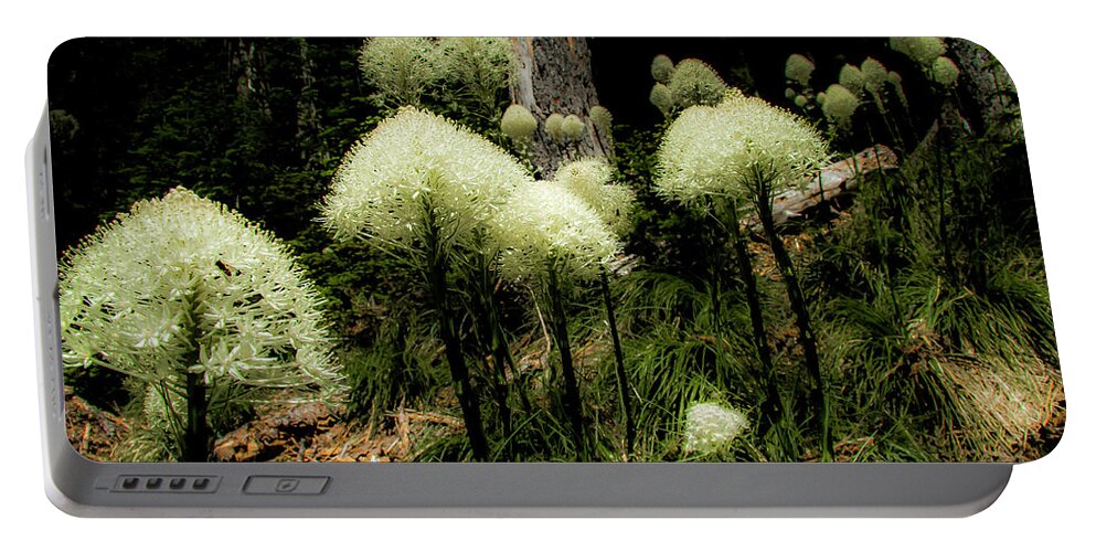 Nature Portable Battery Charger featuring the photograph White Puffs of Bear Grass by Doug Scrima