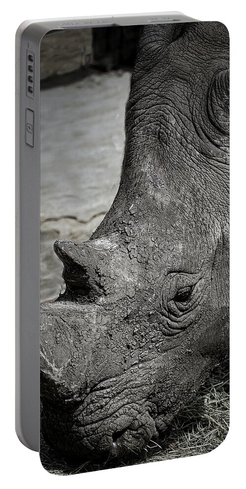 Rhinoceros Portable Battery Charger featuring the photograph White Rhino by Rene Vasquez