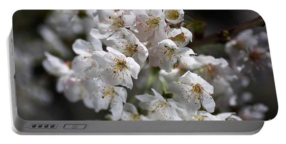  Bloom Portable Battery Charger featuring the photograph White Spring Blossom by Joy Watson