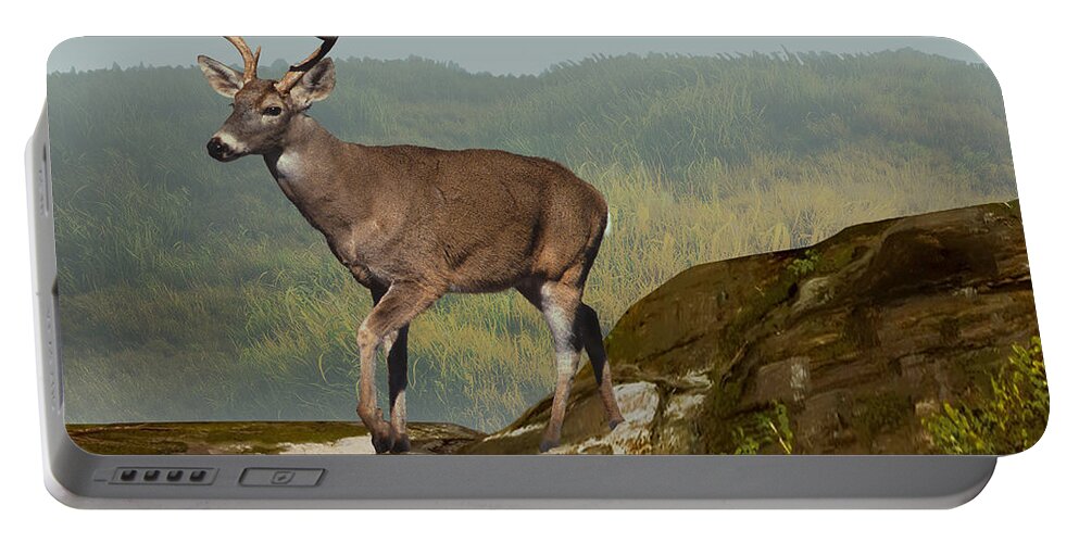 Deer Portable Battery Charger featuring the digital art White-tailed Buck at Dawn by M Spadecaller