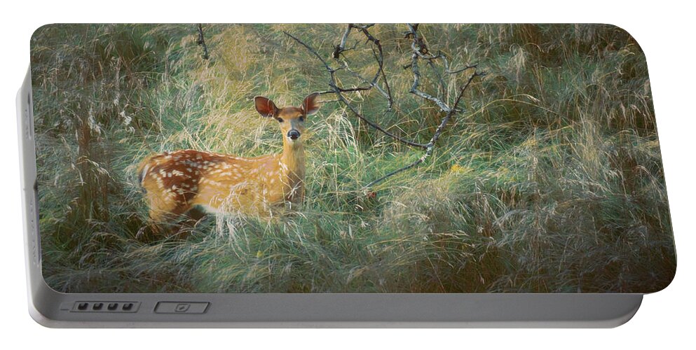 Deer Portable Battery Charger featuring the photograph White Tailed Fawn in the Tall Grass by Jason Fink