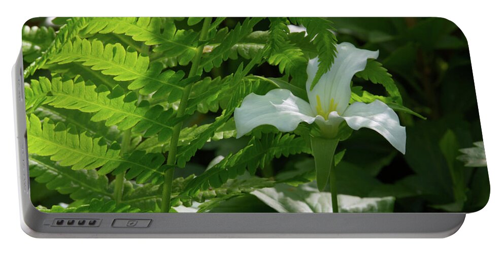 Trillium Portable Battery Charger featuring the photograph White Trillium with Fern by Flinn Hackett
