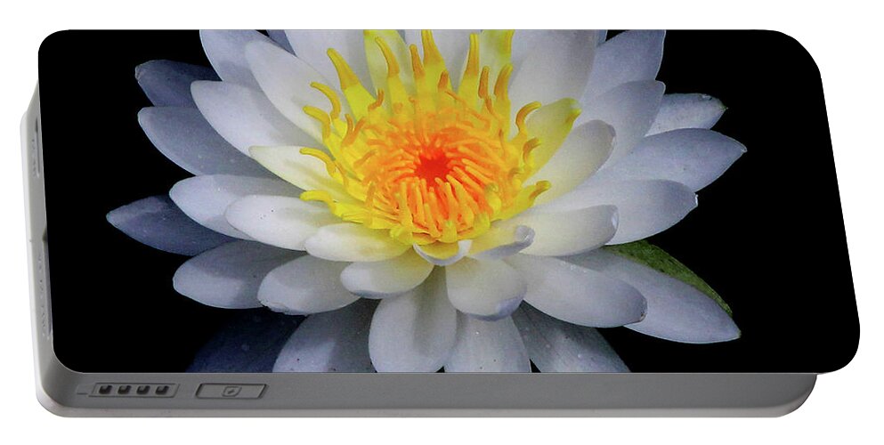White Portable Battery Charger featuring the photograph White Water Lily by Neala McCarten