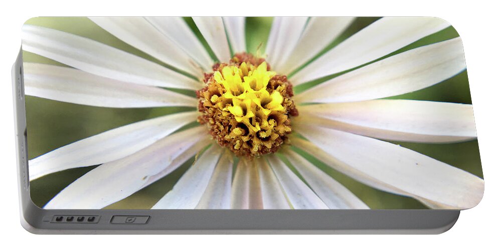 Wildflower Portable Battery Charger featuring the photograph White Wildflower Macro by K Bradley Washburn