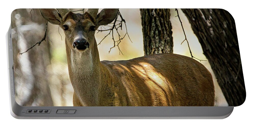 Whitetail Portable Battery Charger featuring the photograph Whitetail Buck Stare by Rene Vasquez