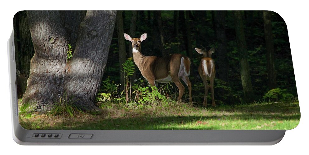 Whitetail Deer Portable Battery Charger featuring the photograph Whitetail Deer Hindsight by Christina Rollo