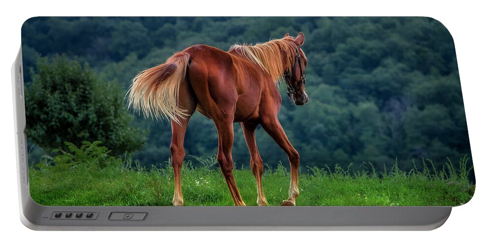 Horse Portable Battery Charger featuring the photograph Whoa, horsey... by Shelia Hunt