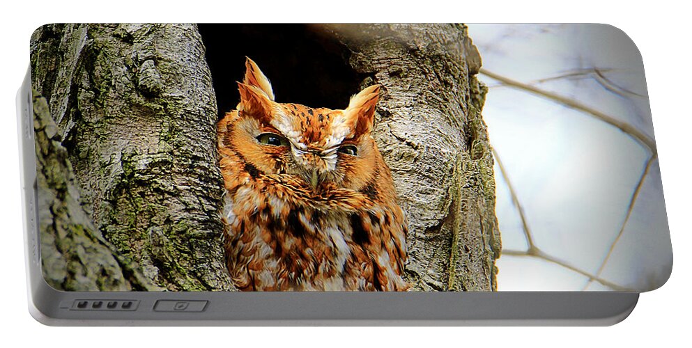 Eastern Screech Owl Red Morph Portable Battery Charger featuring the photograph Whooo are You by Mary Walchuck