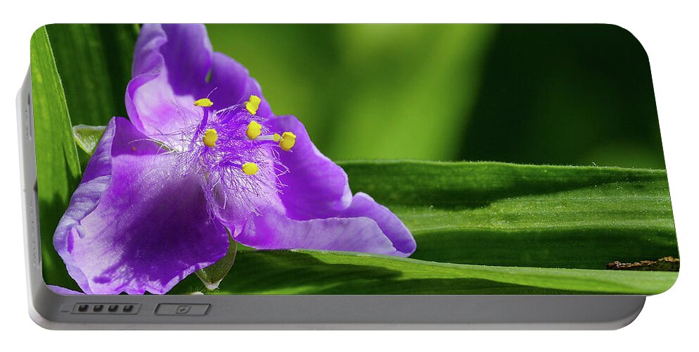 Flower Portable Battery Charger featuring the photograph Widows Tears by Stephen Sloan