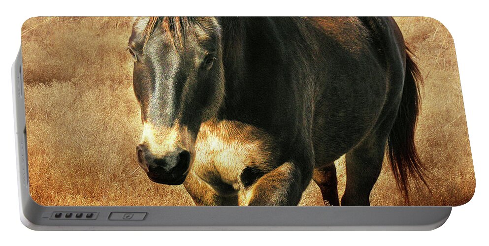 Horse Portable Battery Charger featuring the photograph Wild Beauty by Rod Seel