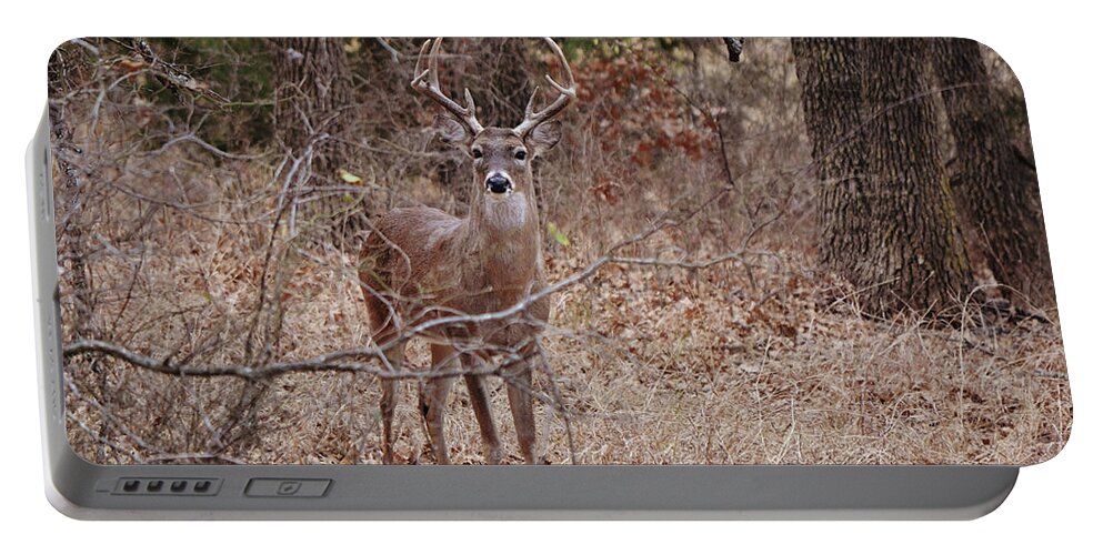 Deer Portable Battery Charger featuring the photograph Wild Deer Buck Texas Oak Forest by Gaby Ethington