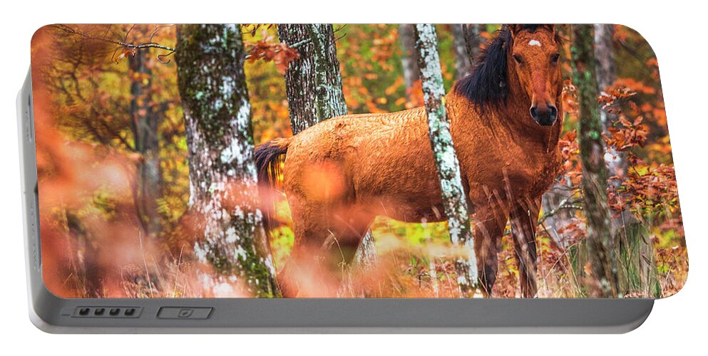 Animals Portable Battery Charger featuring the photograph Wild by Evgeni Dinev