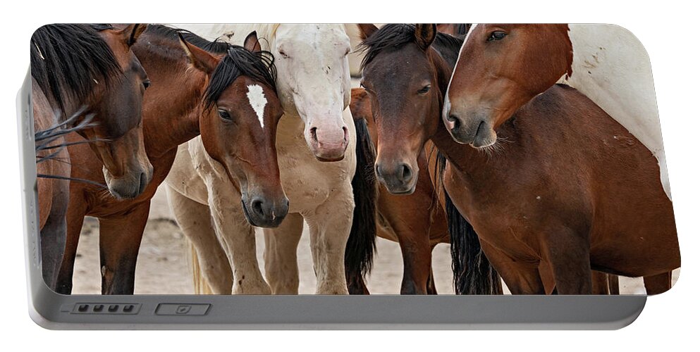 Wild Horses Portable Battery Charger featuring the photograph Wild Horse Huddle by Wesley Aston