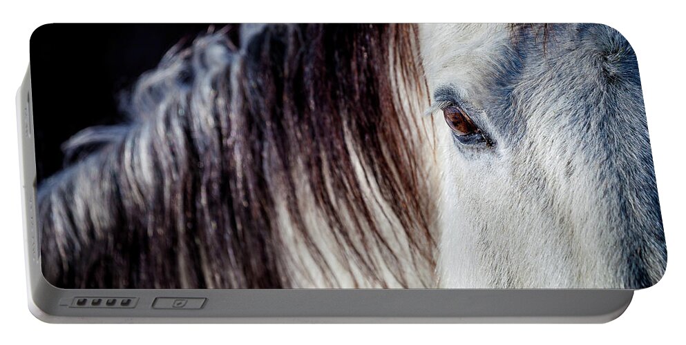 Horse Portable Battery Charger featuring the photograph Wild Horse No. 4 by Craig J Satterlee
