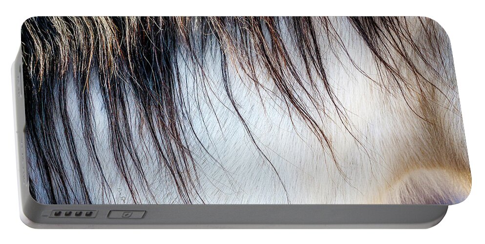 I Love The Beauty Of The Outdoors And Its Natural Wildlife. This Wild Horse Was Shot In The Pryor Mountain Wild Horse Range. Portable Battery Charger featuring the photograph Wild Horse No. 5 by Craig J Satterlee
