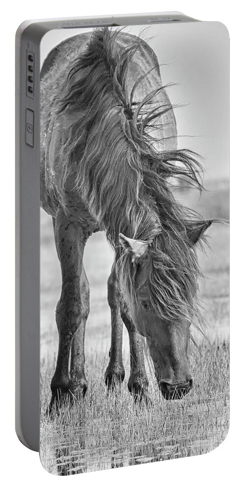 Wild Mustang Portable Battery Charger featuring the photograph Wild Horse with Wind Blown Mane by Bob Decker