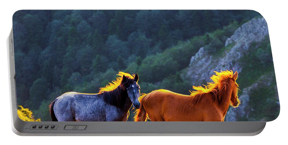 Balkan Mountains Portable Battery Charger featuring the photograph Wild Horses by Evgeni Dinev