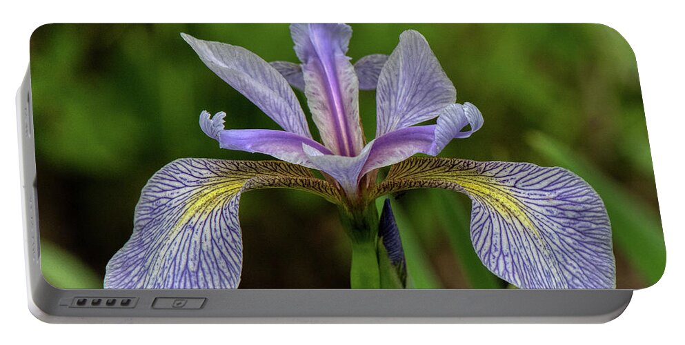 Flower Portable Battery Charger featuring the photograph Wild Iris by Paul Freidlund