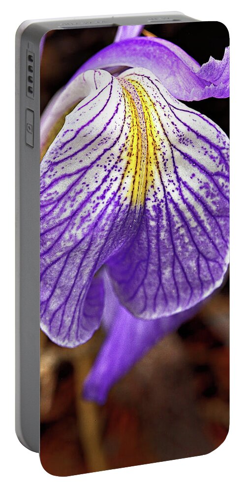 Flower Portable Battery Charger featuring the photograph Wild Iris Petal by Bob Falcone
