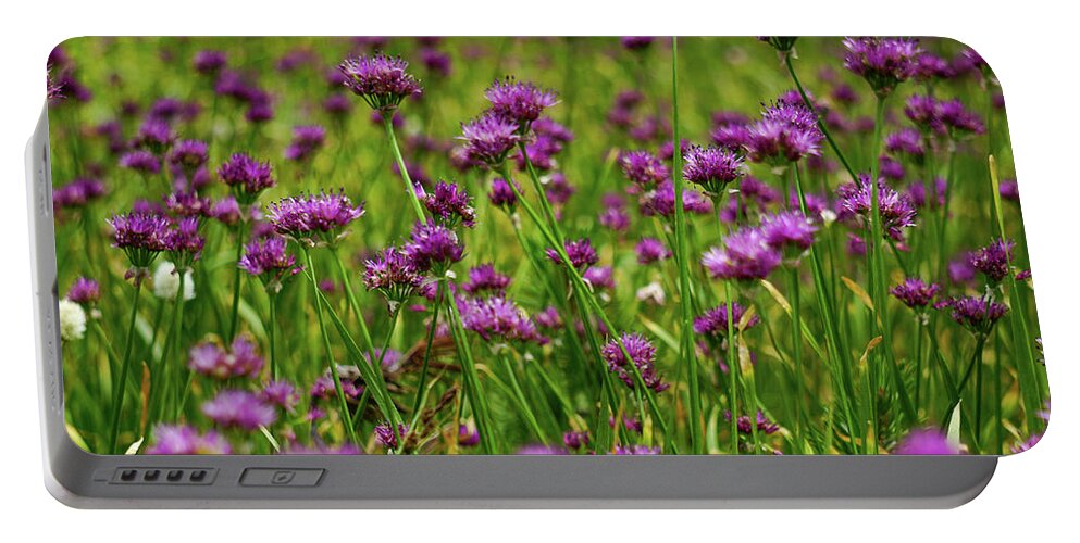 Wild Onions Portable Battery Charger featuring the photograph Wild Onions Mineral King by Brett Harvey