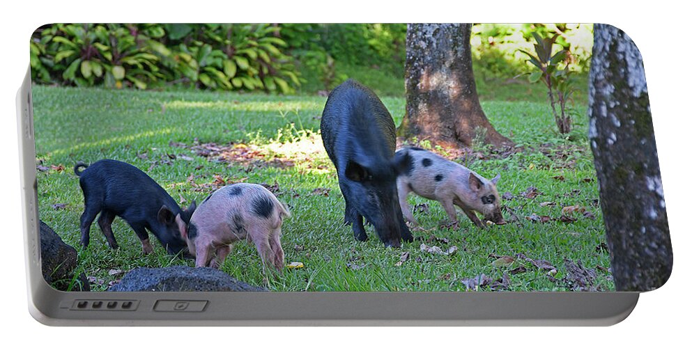 Wild Pigs Portable Battery Charger featuring the photograph Wild Pigs by Cindy Murphy