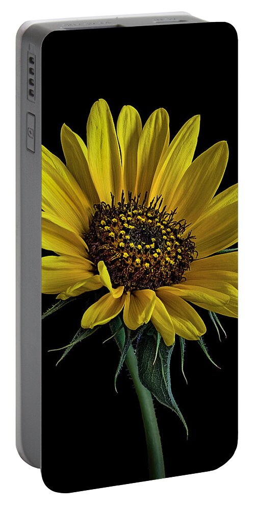 Wild Sunflower Portable Battery Charger featuring the photograph Wild Sunflower by Endre Balogh