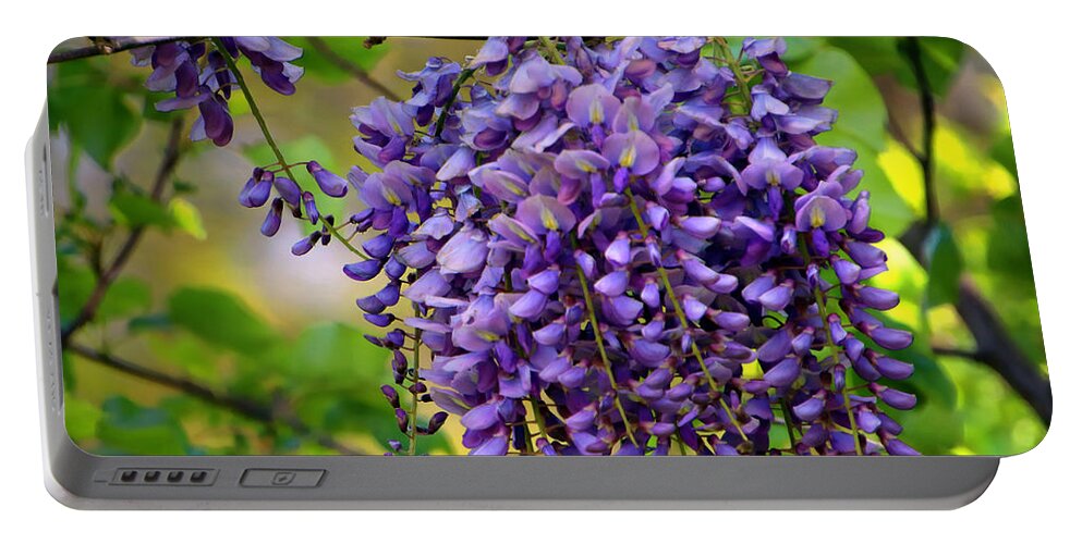 Spring Portable Battery Charger featuring the photograph Wild Wisteria by Suzanne Stout