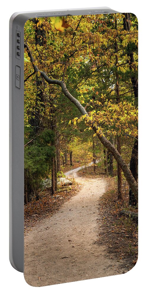 Trail Portable Battery Charger featuring the photograph Wilderness Trail by Grant Twiss