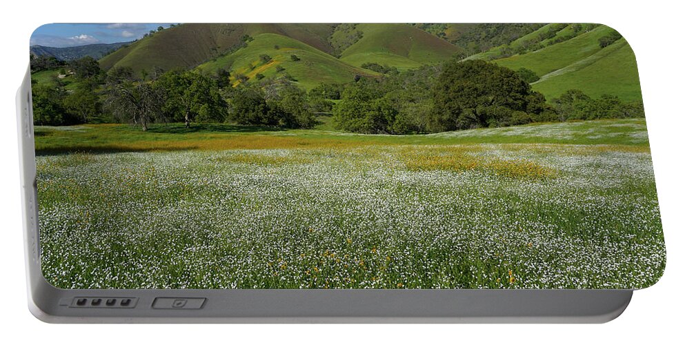 Wildflowers Portable Battery Charger featuring the photograph Rusty Popcorn And Fiddleneck Dry Creek Canyon by Brett Harvey