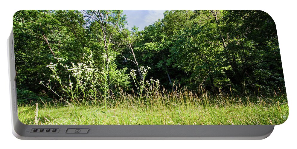 Wildflowers Portable Battery Charger featuring the photograph Wildflowers in Springtime - A Rock Creek Park Impression by Steve Ember