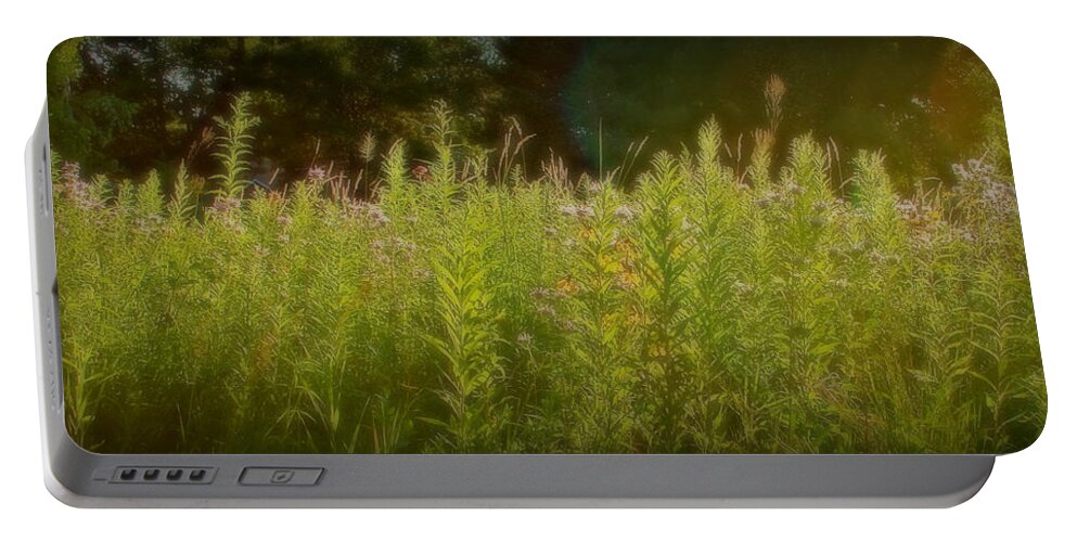 Wildflowers Portable Battery Charger featuring the photograph Wildflowers in the Haze by Carol Jorgensen