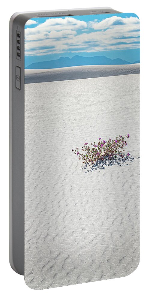 New Mexico Portable Battery Charger featuring the photograph Wildflowers in the Sand by Erin K Images