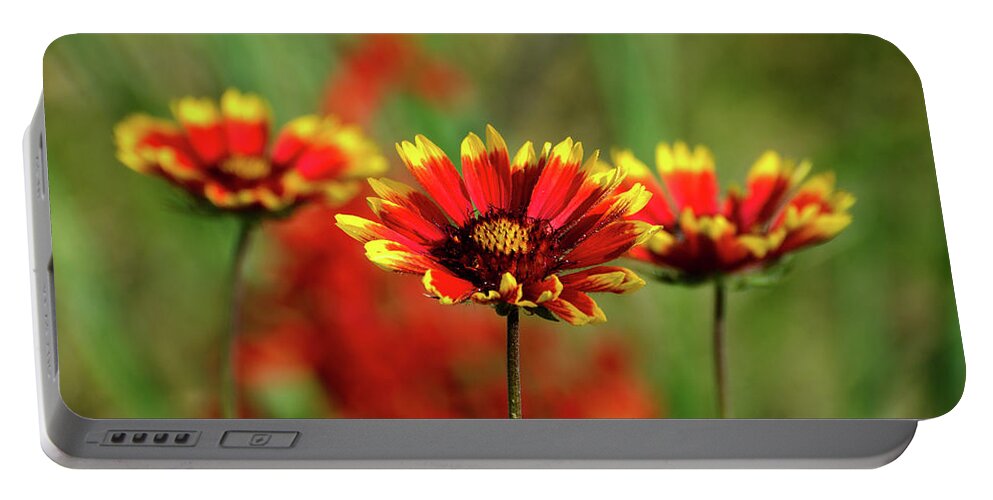 Nature Portable Battery Charger featuring the photograph Wildflowers by Linda Shannon Morgan