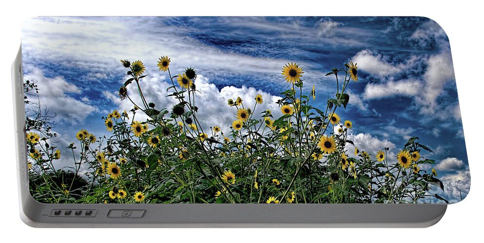 Daisies Portable Battery Charger featuring the photograph Wildflowers on the Brazos by Diana Mary Sharpton