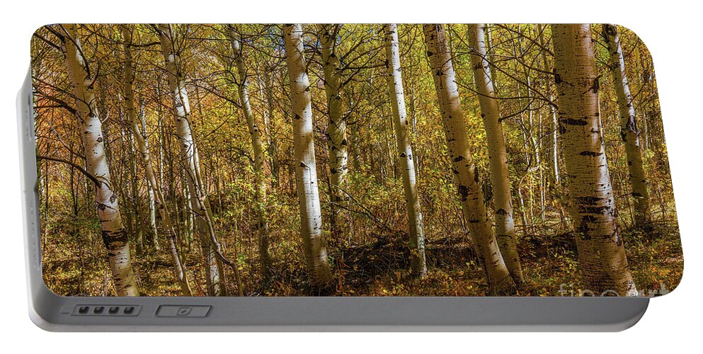 Aspens Portable Battery Charger featuring the photograph Wildhorse Aspens by Ron Long Ltd Photography