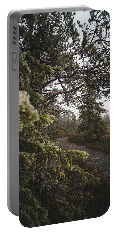 Pine Portable Battery Charger featuring the photograph Wildlife in autumn and foggy season by Vaclav Sonnek