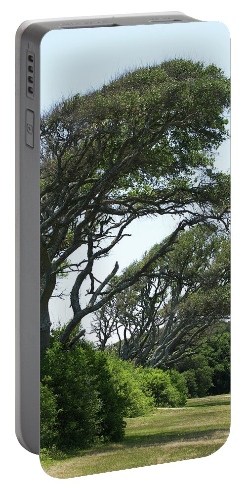  Portable Battery Charger featuring the photograph Wind Blown by Heather E Harman