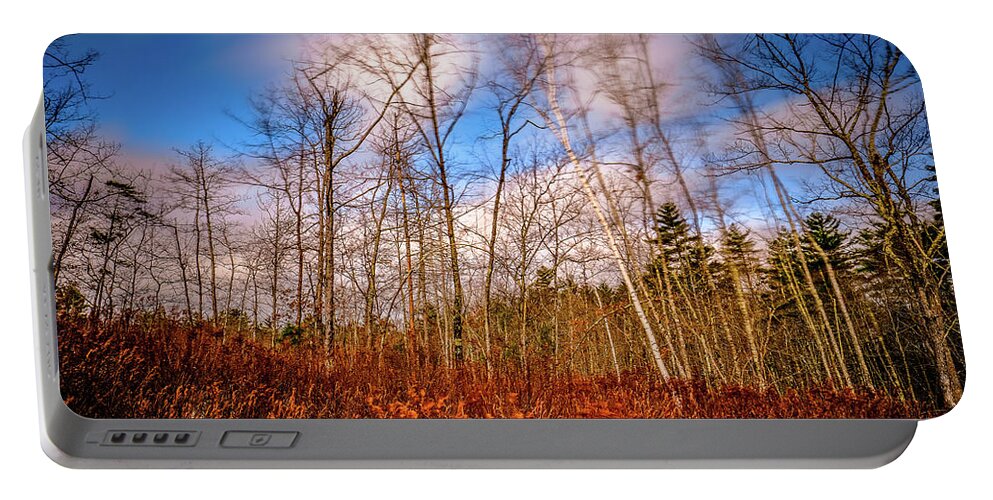 New Hampshire Portable Battery Charger featuring the photograph Wind Blown Vignette by Jeff Sinon