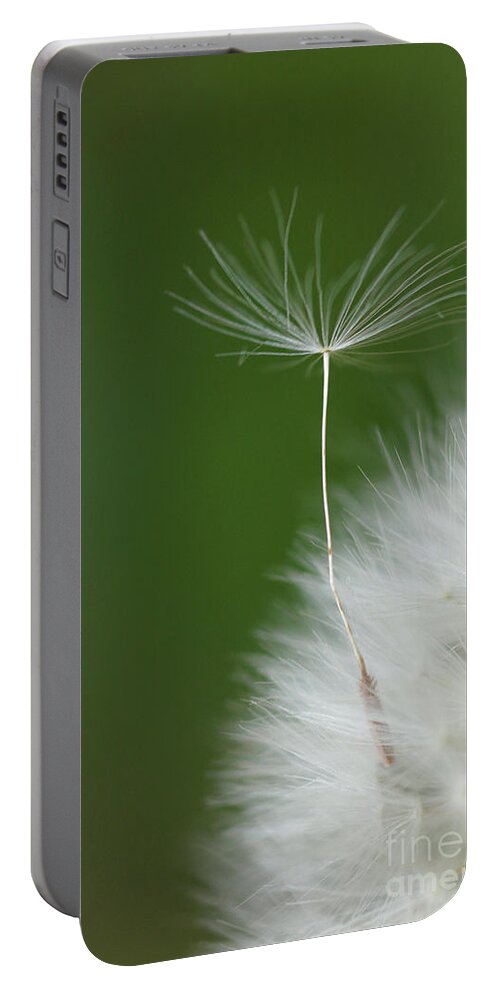 Flower Portable Battery Charger featuring the photograph Wind by Elbegzaya Lkhagvasuren