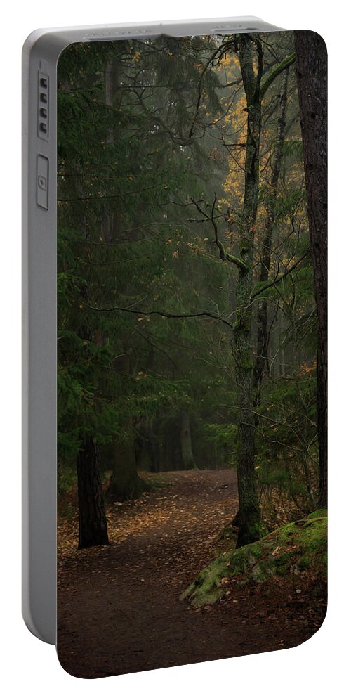 Autumn Portable Battery Charger featuring the photograph Winding Dirt Road In A Foggy Autumn Forest by Nicklas Gustafsson
