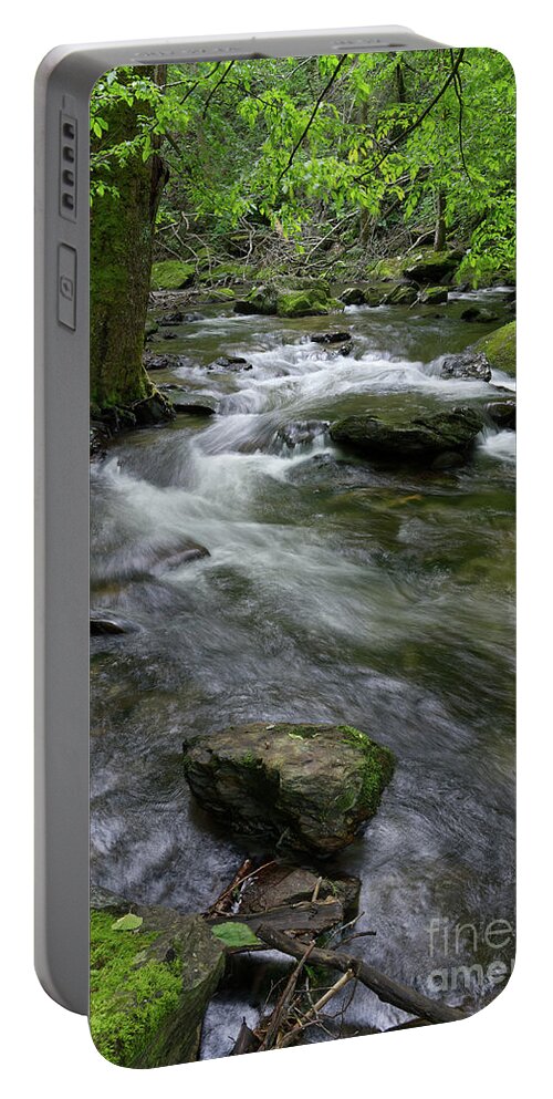 Nature Portable Battery Charger featuring the photograph Winding Waters by Phil Perkins
