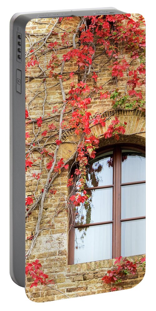 Chianti Region Portable Battery Charger featuring the photograph Window and Vines by Eggers Photography