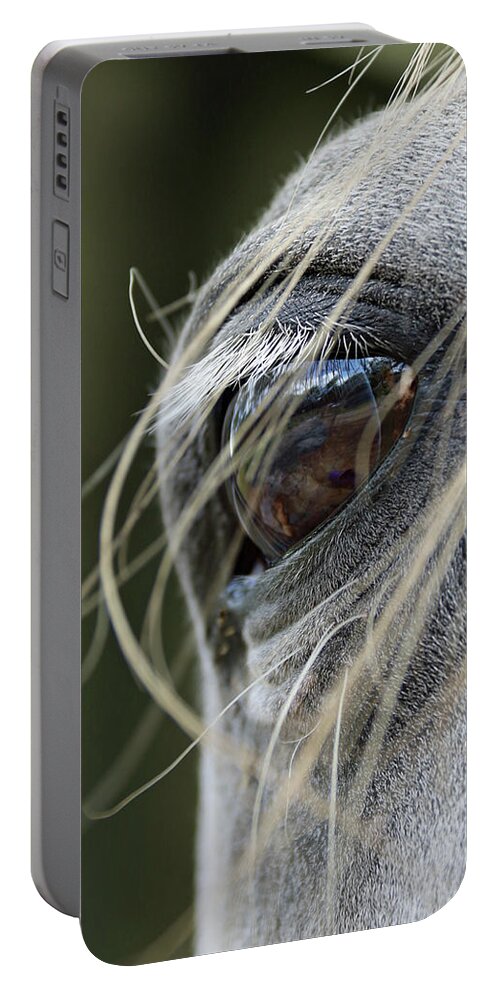 Horse Portable Battery Charger featuring the photograph Window of the Soul by M Kathleen Warren