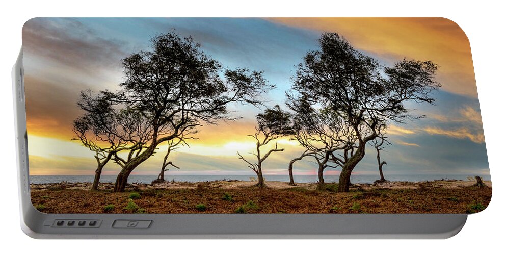 Clouds Portable Battery Charger featuring the photograph Windswept Trees on Jekyll Island by Debra and Dave Vanderlaan