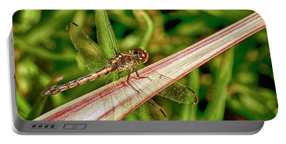 Dragonfly Portable Battery Charger featuring the photograph Winged Dragon by Bill Barber